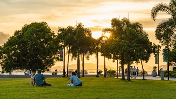 The design of the planting is informal and promotes a casual enjoyment of the park.